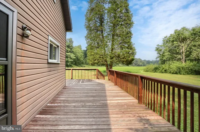 a view of a lush green forest with mountains in the background