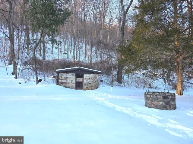 a view of a backyard with a house and a large tree