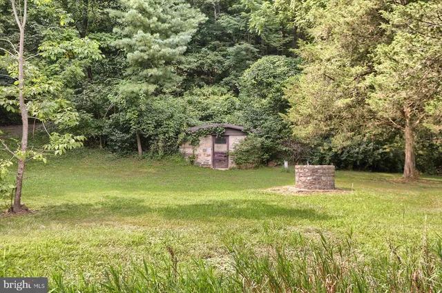 a view of city with tall trees