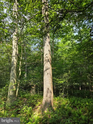 $499,000 | 115 Lake Seldom Seen, Landisburg, PA 17040