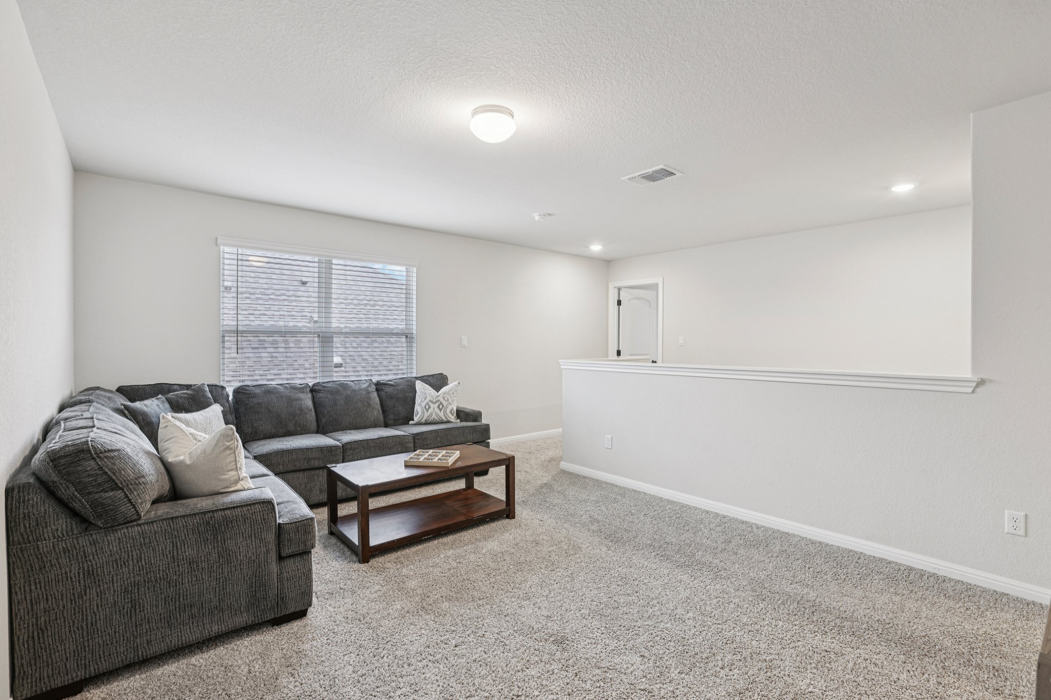 204 Swinging H Lane Georgetown, TX 78633 - Photo 23 of 39 Spacious living area featuring light gray carpeting, neutral-toned walls, and a window with horizontal blinds