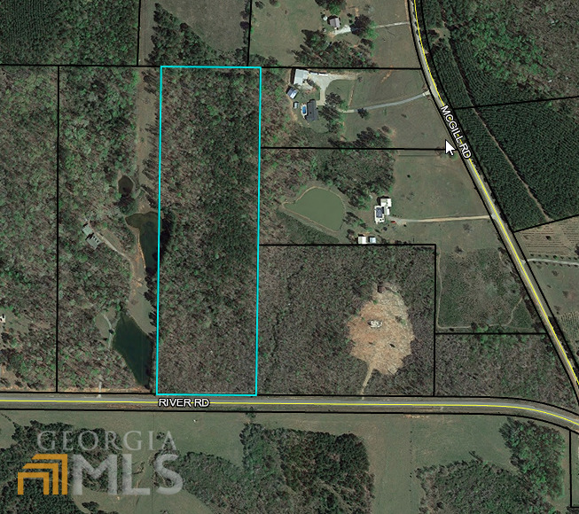3405 River Road, Unit 16 32 ACRES Manchester, GA 31816 - Photo 1 of 1 Gallery Image 1