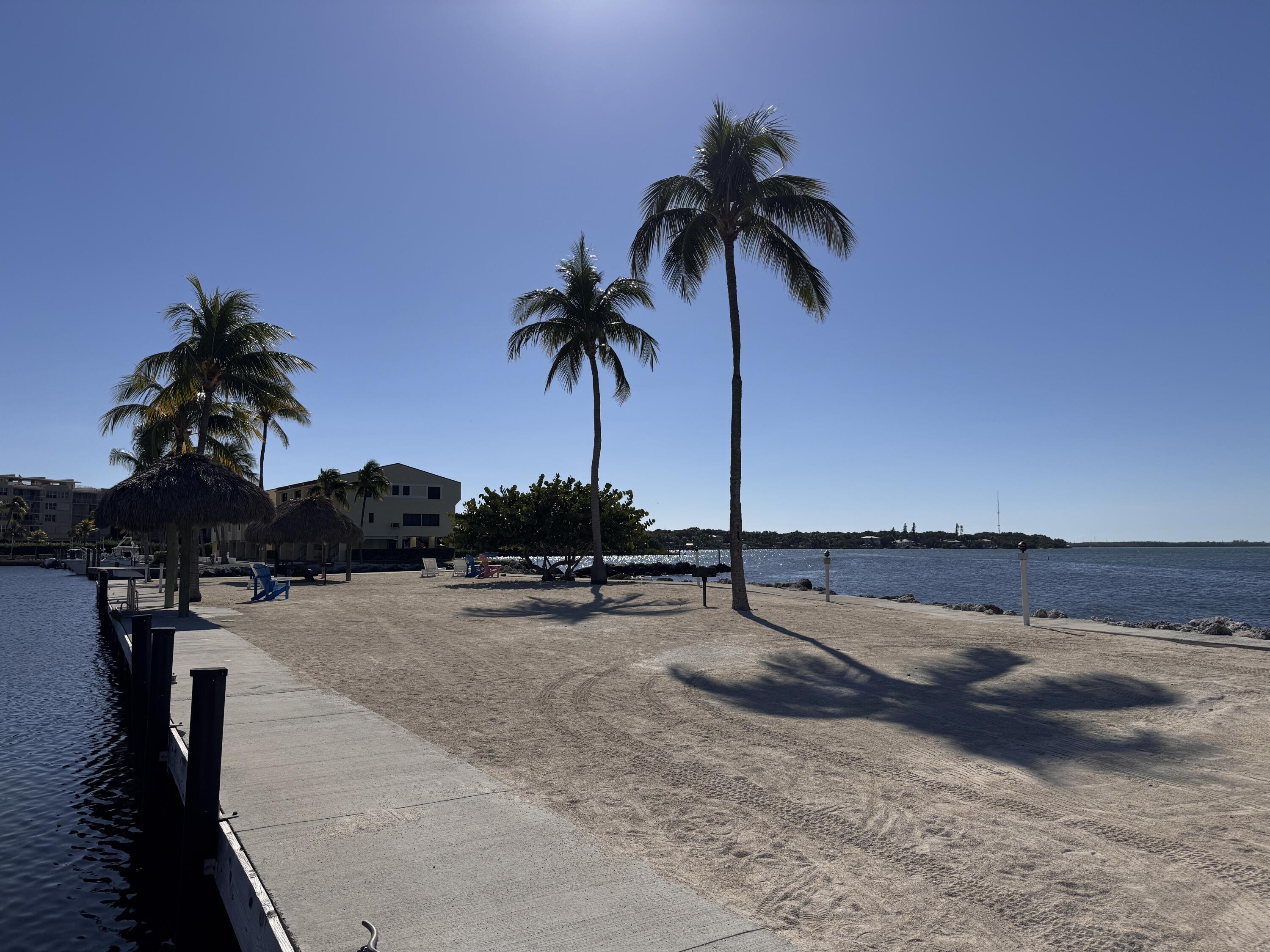 88540 Overseas Highway, Unit 203 Tavernier, FL 33070 - Photo 26 of 35 a view of outdoor space with palm trees