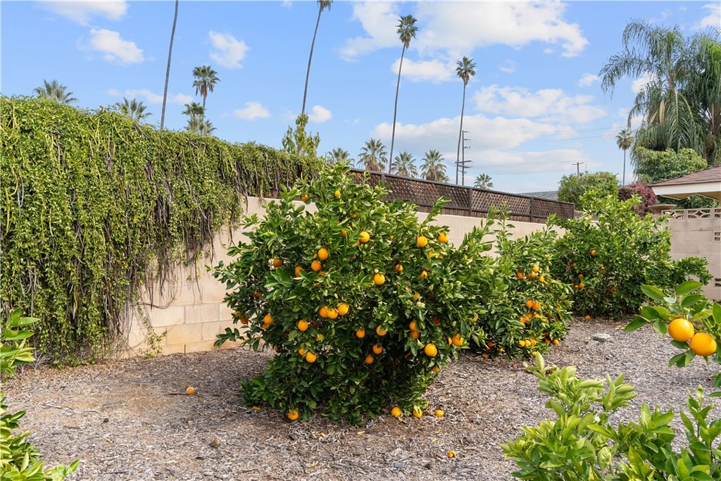 534 Roosevelt Road, Unit N Redlands, CA 92374 - Photo 16 of 20 Gallery Image 16