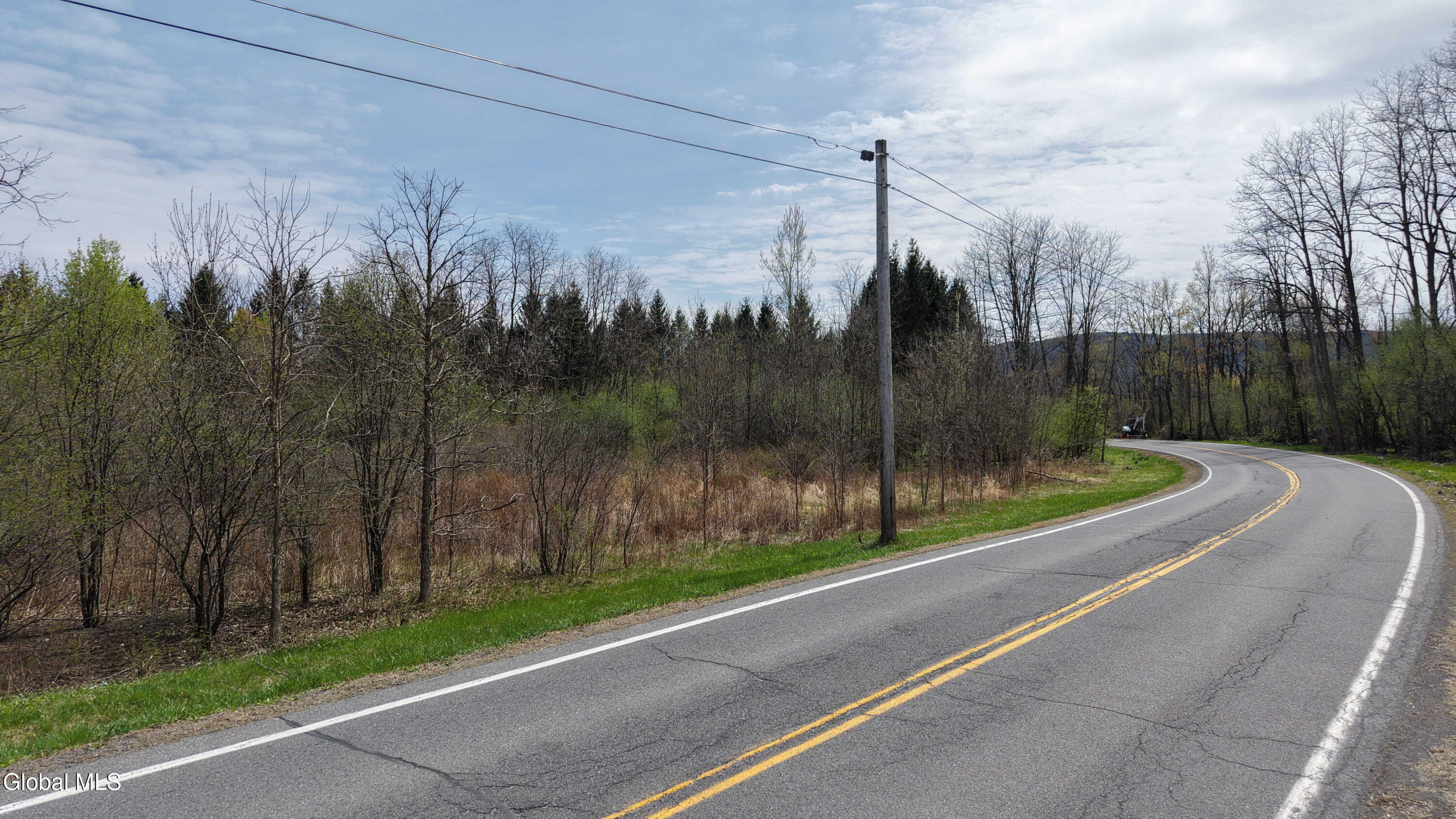 850 Meadowdale Road Altamont, NY 12009 - Photo 13 of 15 13