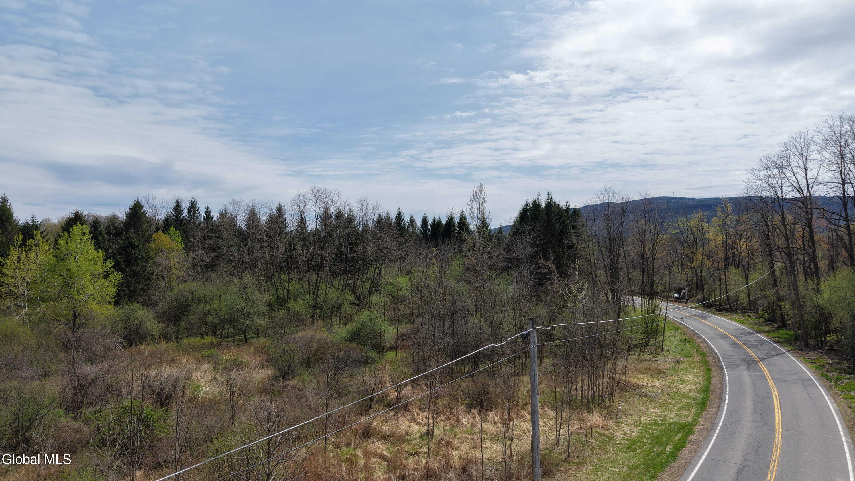 850 Meadowdale Road Altamont, NY 12009 - Photo 14 of 15 14
