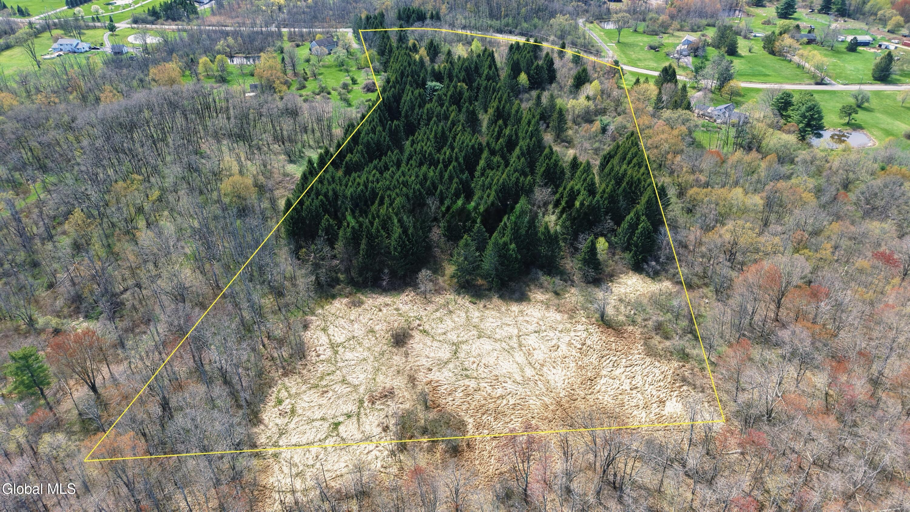 850 Meadowdale Road Altamont, NY 12009 - Photo 2 of 15 2