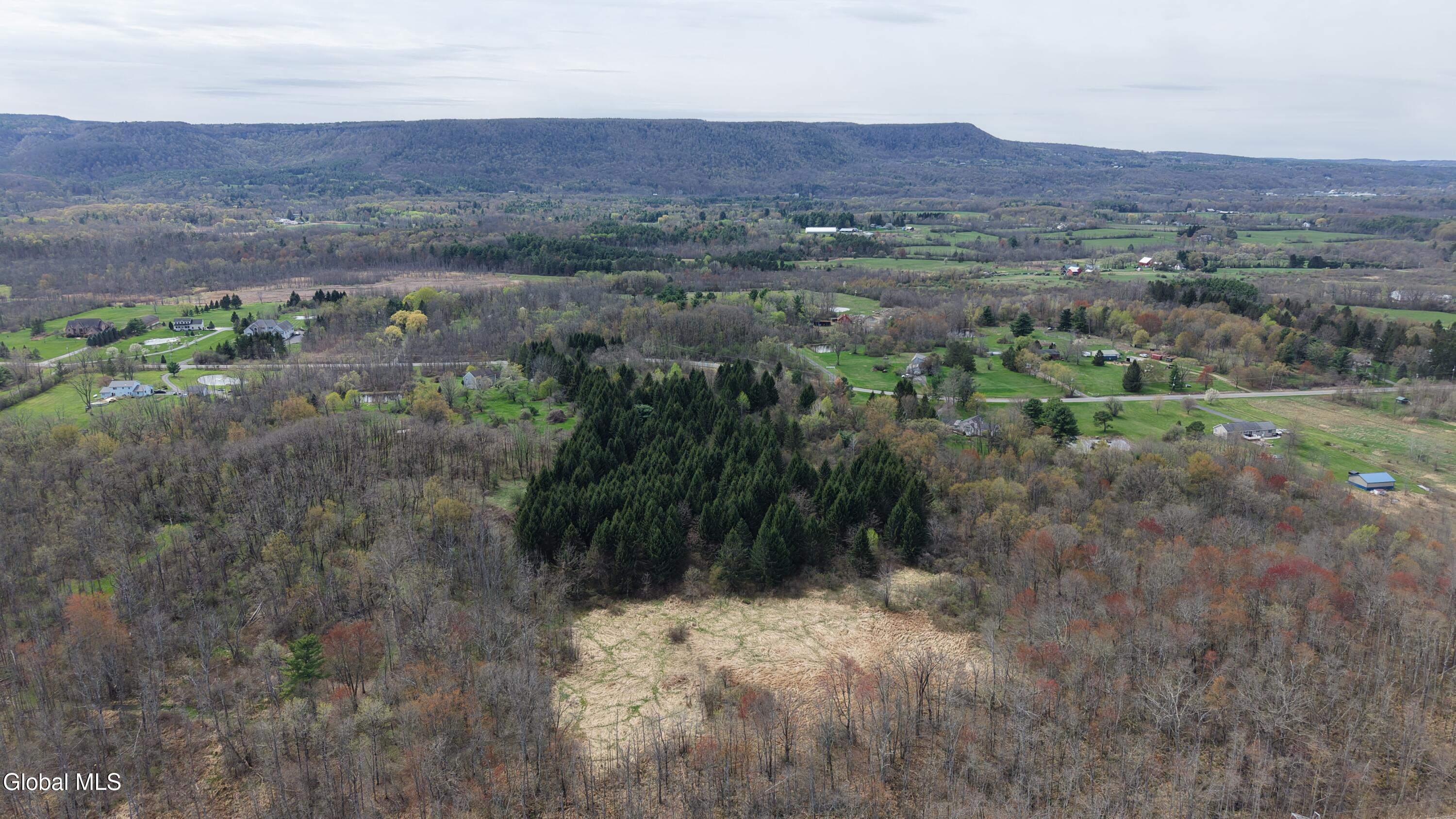 850 Meadowdale Road Altamont, NY 12009 - Photo 7 of 15 7