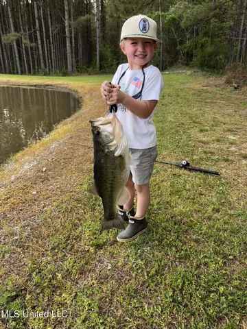 $1,549,000 | 2917 Black Jack Road, Vaughan, MS 39179