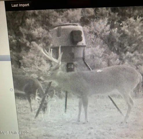 $1,549,000 | 2917 Black Jack Road, Vaughan, MS 39179