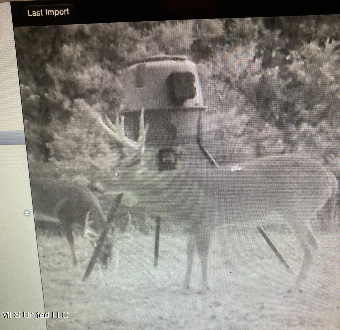 2917 Black Jack Road Vaughan, MS 39179 - Photo 102 of 112 deeer5