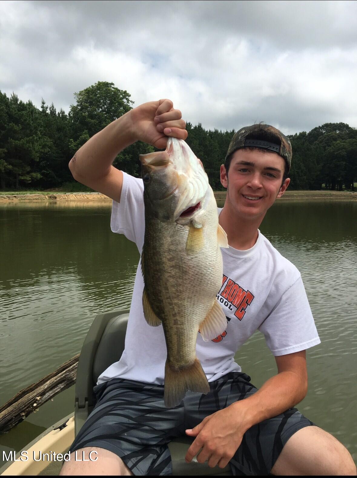 2917 Black Jack Road Vaughan, MS 39179 - Photo 108 of 112 fish2