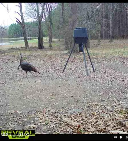 $1,549,000 | 2917 Black Jack Road, Vaughan, MS 39179