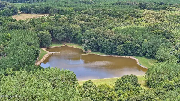 $1,549,000 | 2917 Black Jack Road, Vaughan, MS 39179