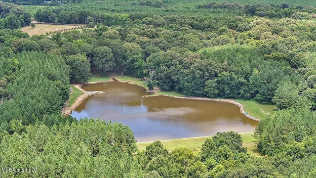 $1,549,000 | 2917 Black Jack Road, Vaughan, MS 39179