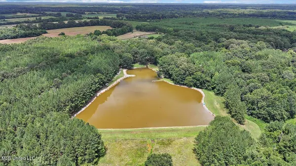 $1,549,000 | 2917 Black Jack Road, Vaughan, MS 39179