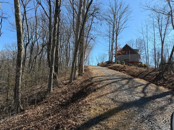 a view of a backyard of the house