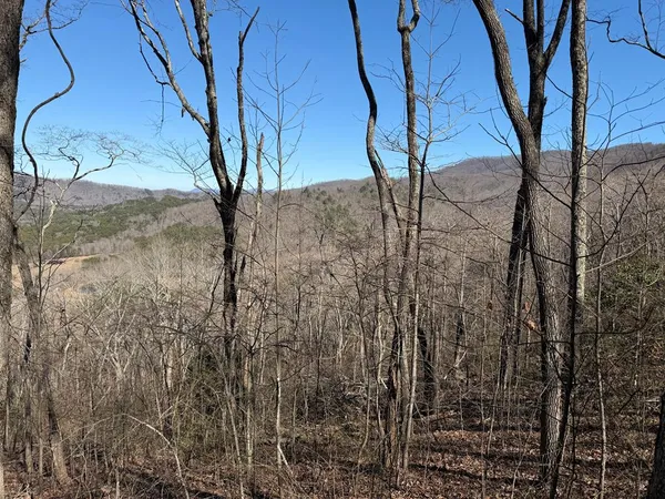a view of a backyard of the house
