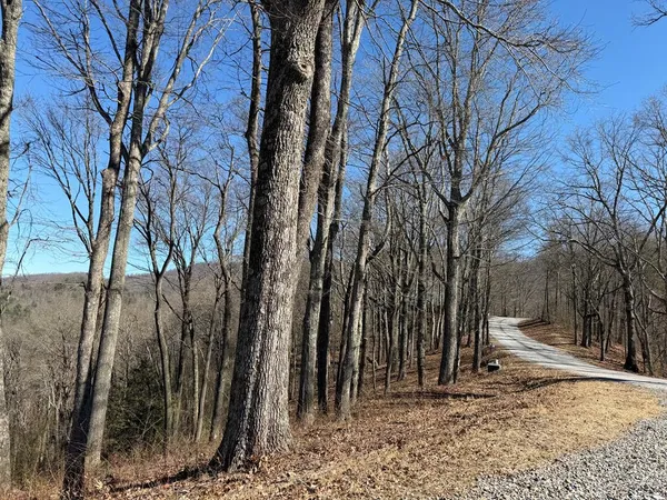 a view of a yard covered with snow in the front of house