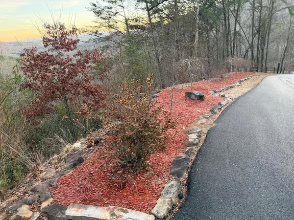 a view of a pathway with a yard