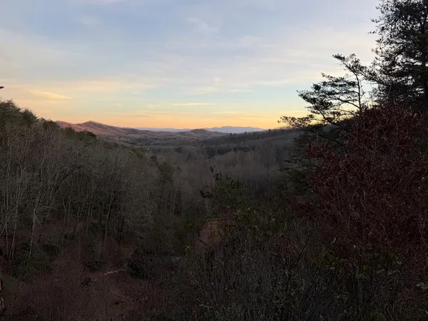 a view of a wooden fence yard