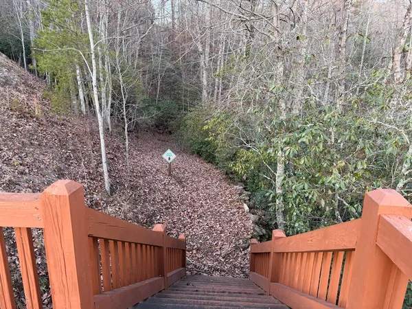 a view of a forest with mountains in the background