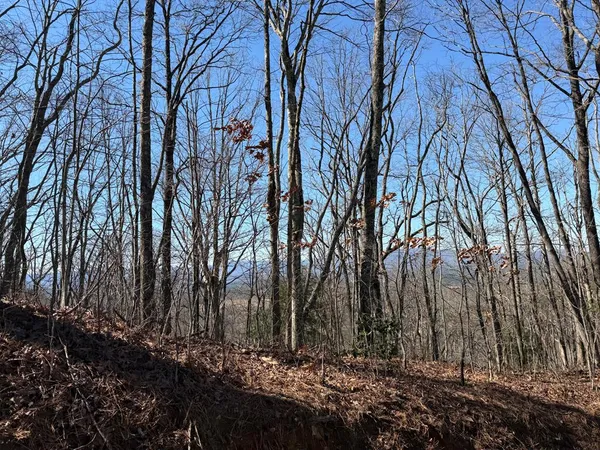 a view of backyard with green space