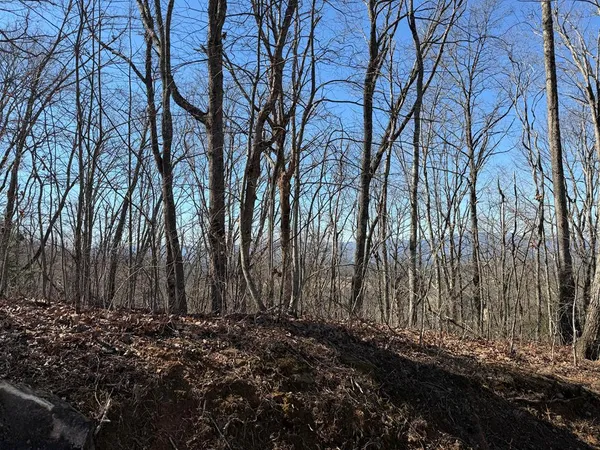 a view of a backyard of the house
