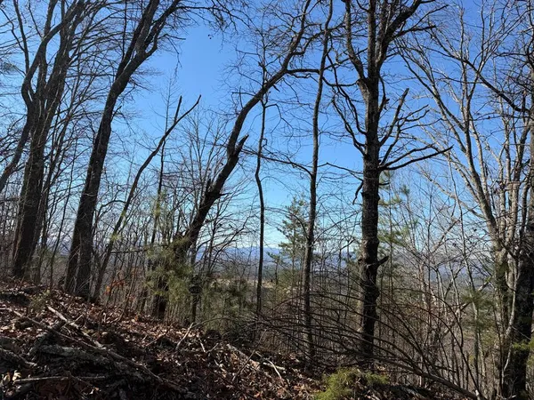 a view of trees and covered with snow