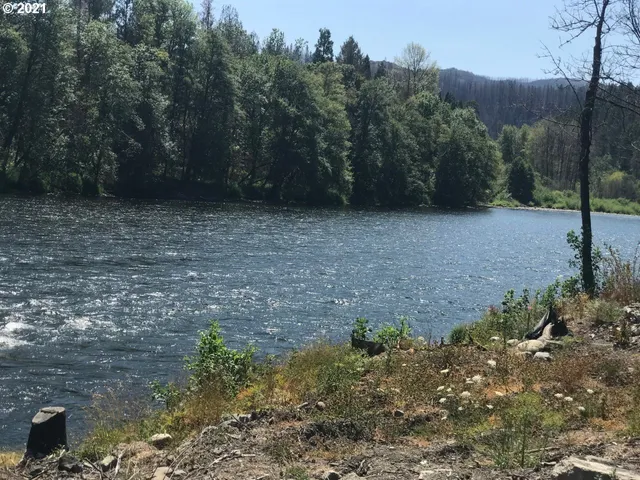 $109,000 | 49752 McKenzie Highway, Vida, OR 97488