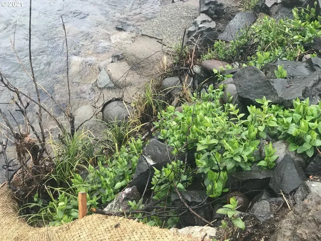 $109,000 | 49752 McKenzie Highway, Vida, OR 97488