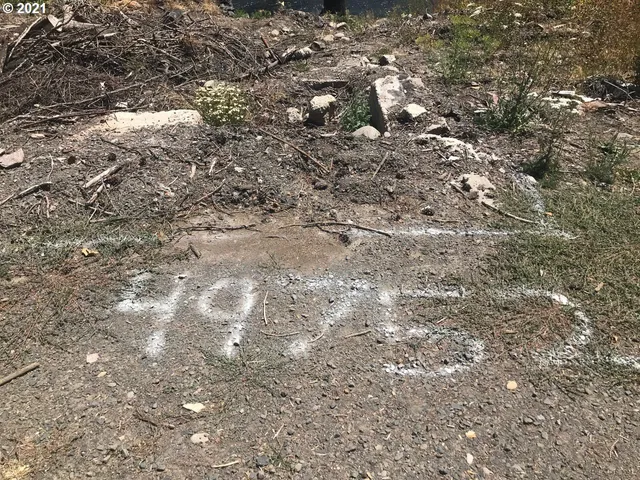 $109,000 | 49752 McKenzie Highway, Vida, OR 97488