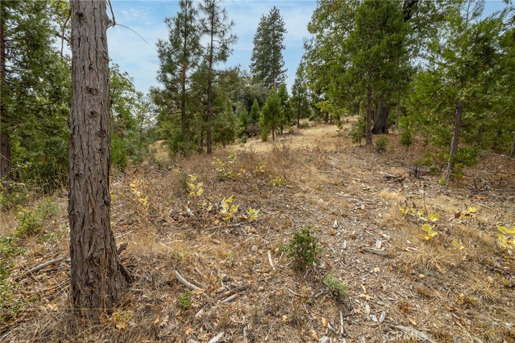26 Timberview Road North Fork, CA 93643 - Photo 60 of 60