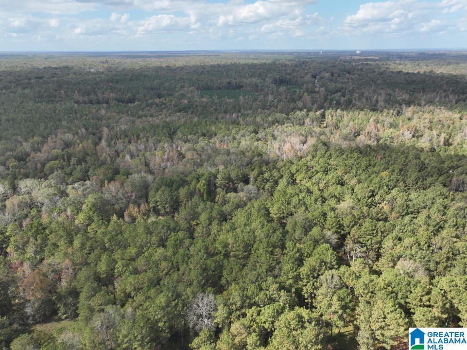 119 Plantation Road, Unit 1 Hope Hull, AL 36043 - Photo 28 of 35