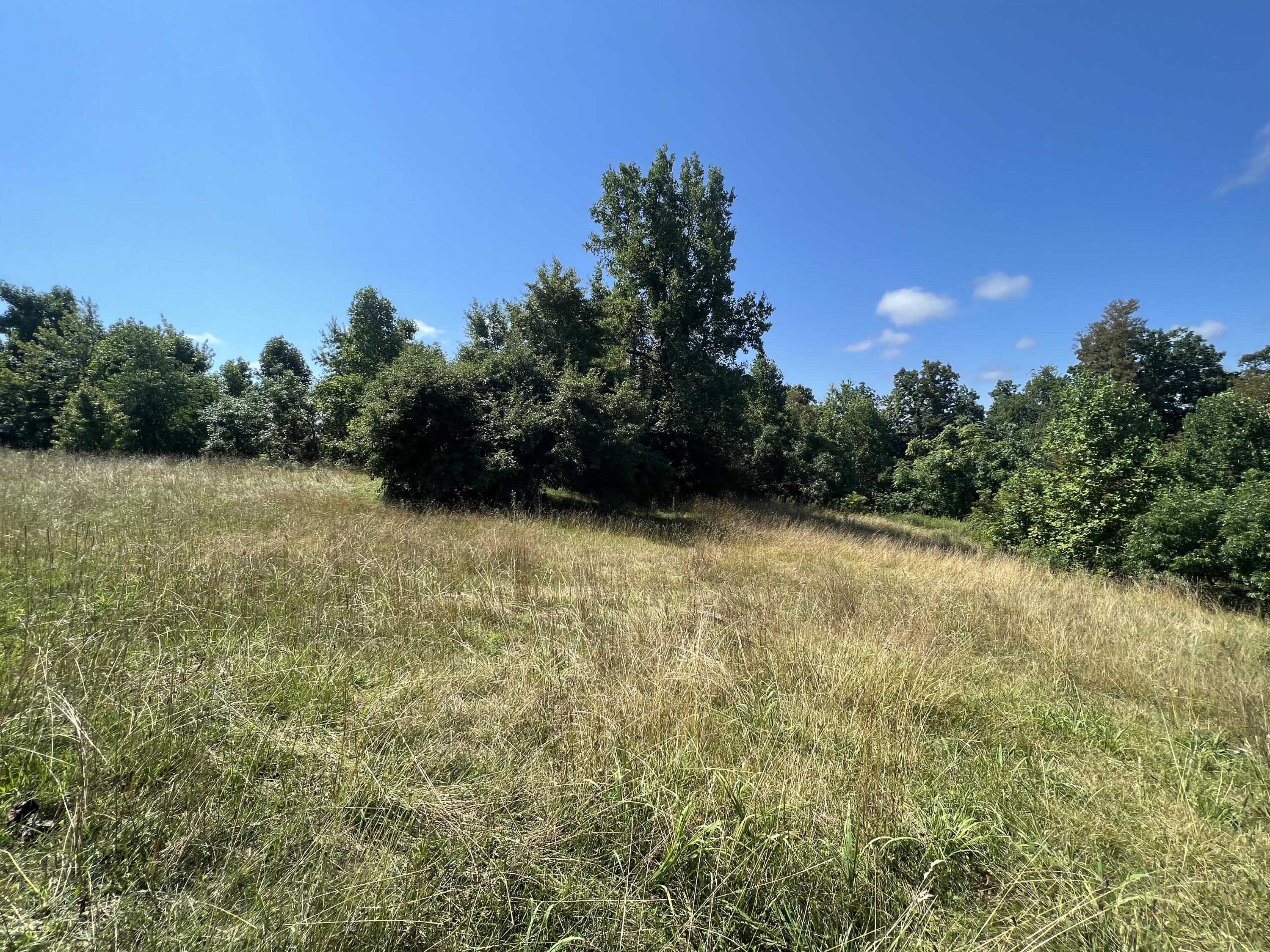 290 Morris Cemetery Road West Liberty, KY 41472 - Photo 19 of 25 Photo Jul 11, 11 19 01 AM