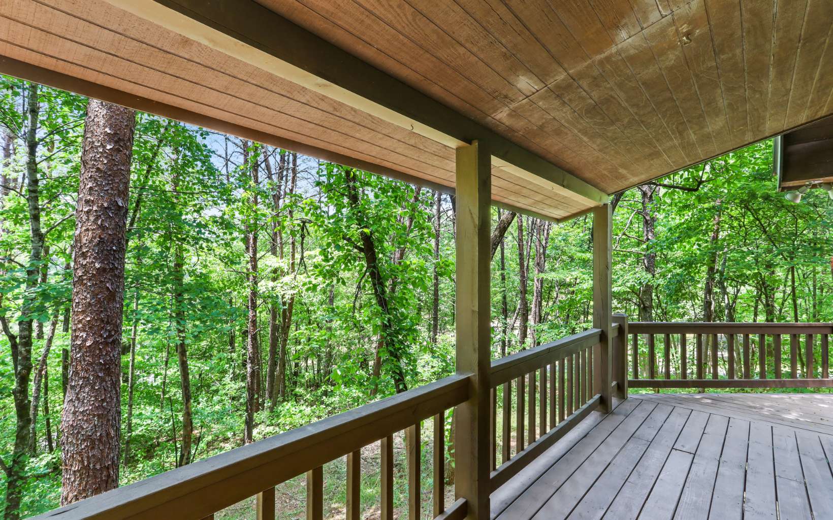 42 Nels Ridge Road Mineral Bluff, GA 30559 - Photo 4 of 4 Additional View