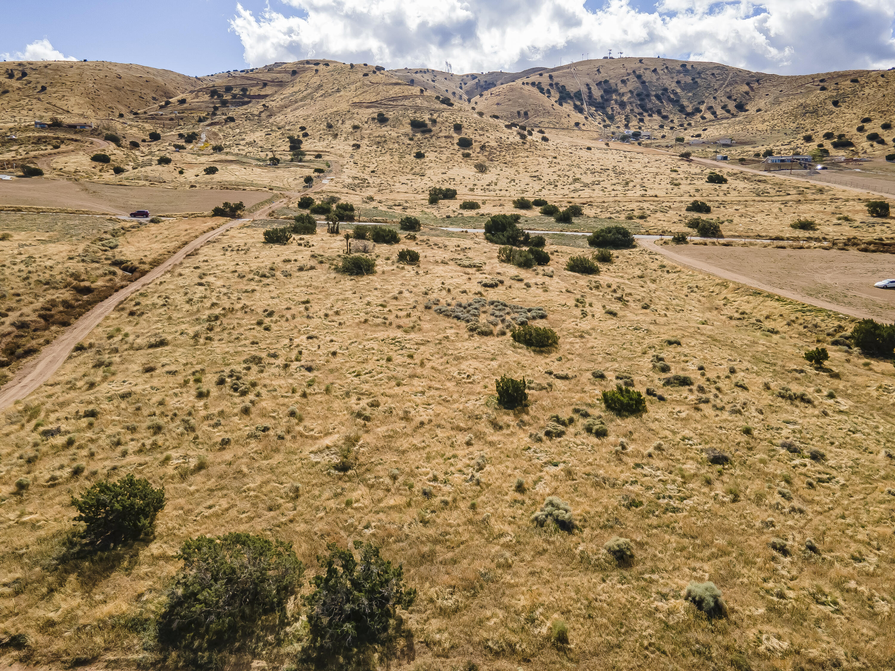 DJI_0490