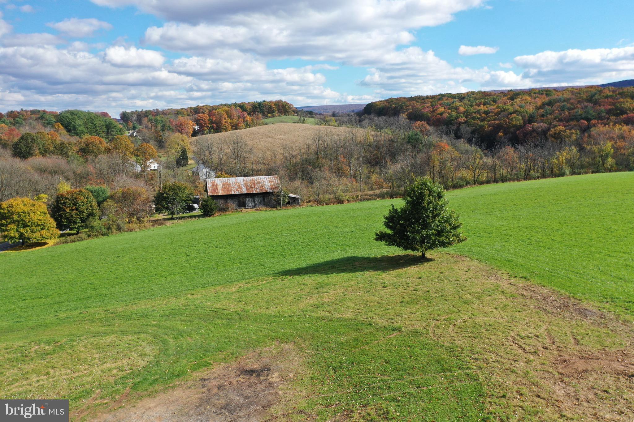 151 Hickory Road Pine Grove, PA 17963 - Photo 36 of 51 Gallery Image 36