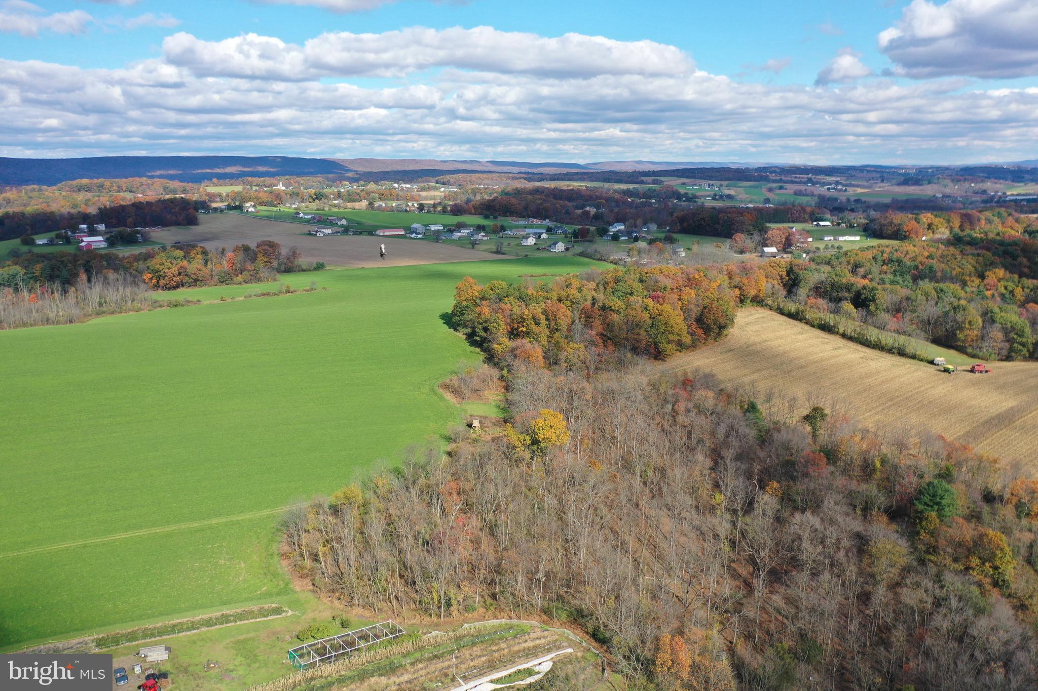 151 Hickory Road Pine Grove, PA 17963 - Photo 49 of 51 Gallery Image 49