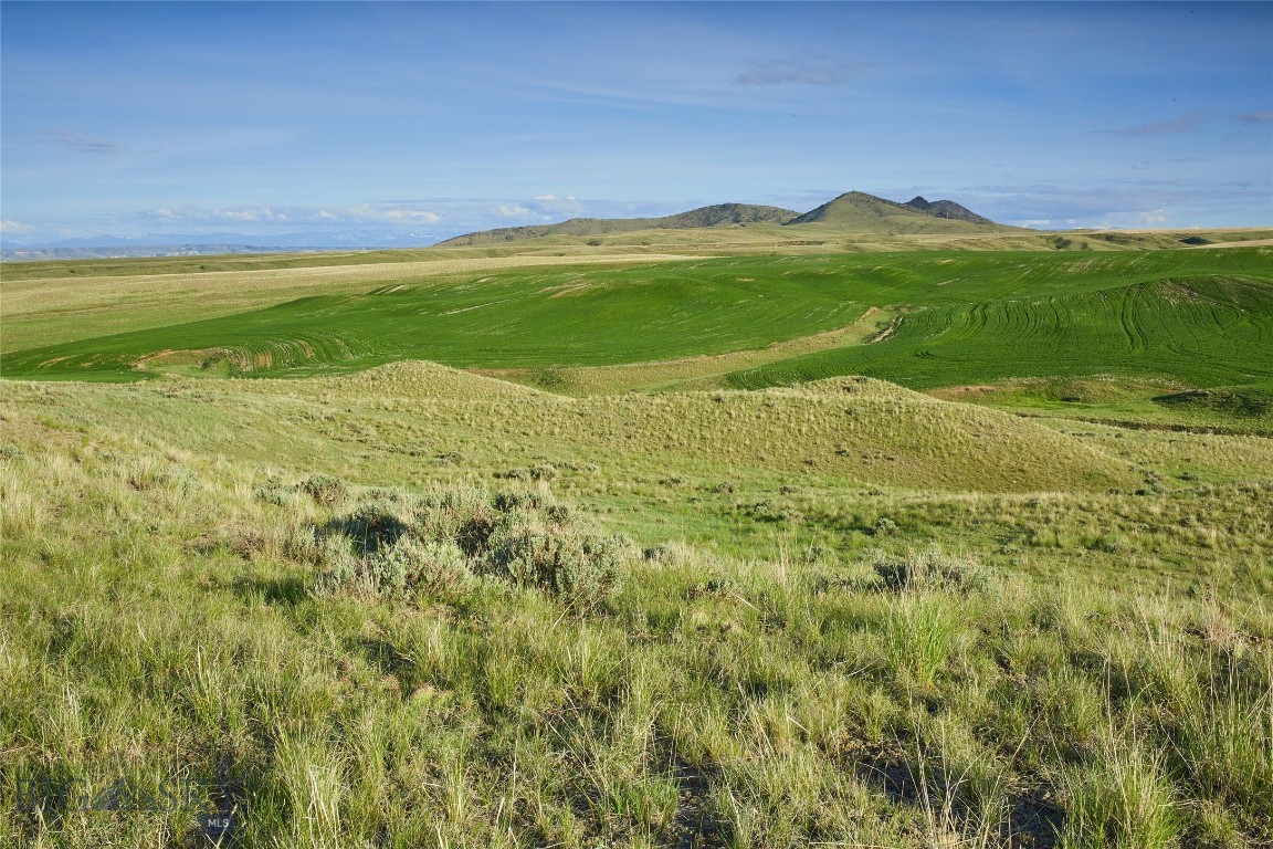 Three Shoddy Springs Road Three Forks, MT 59752 - Photo 14 of 24 Gallery Image 14