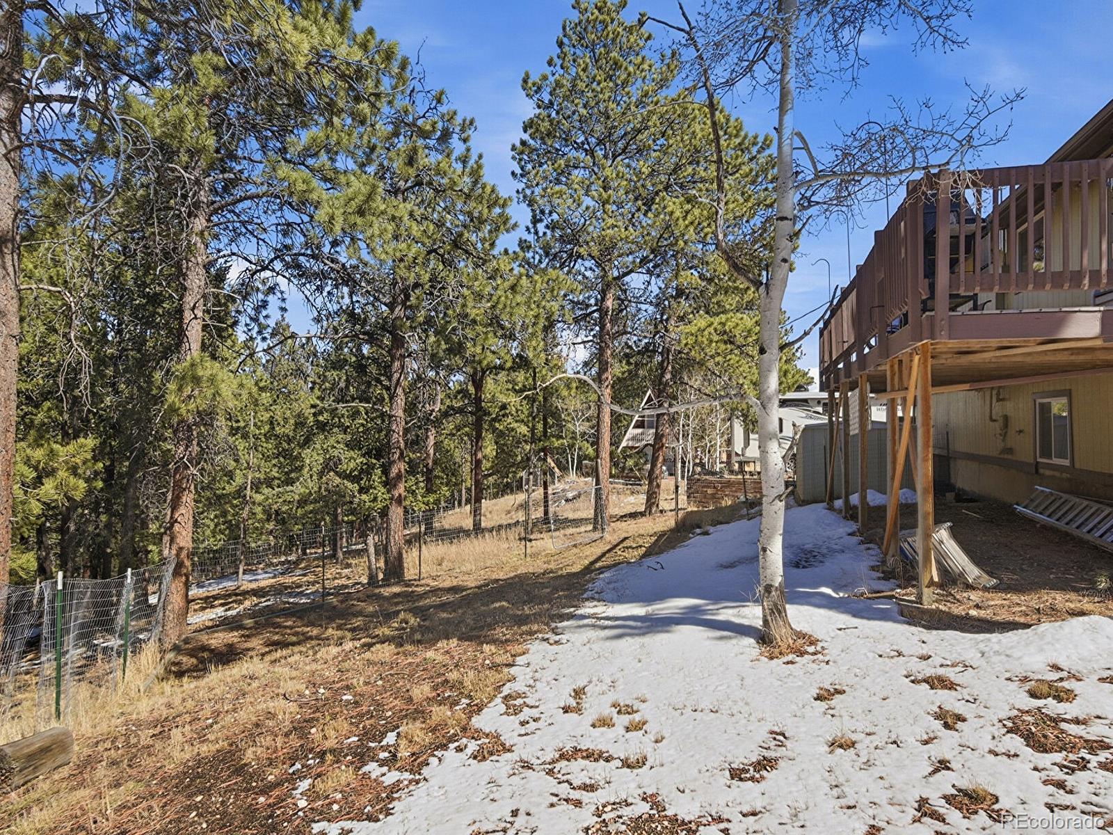 399 Conifer Drive Bailey, CO 80421 - Photo 32 of 42