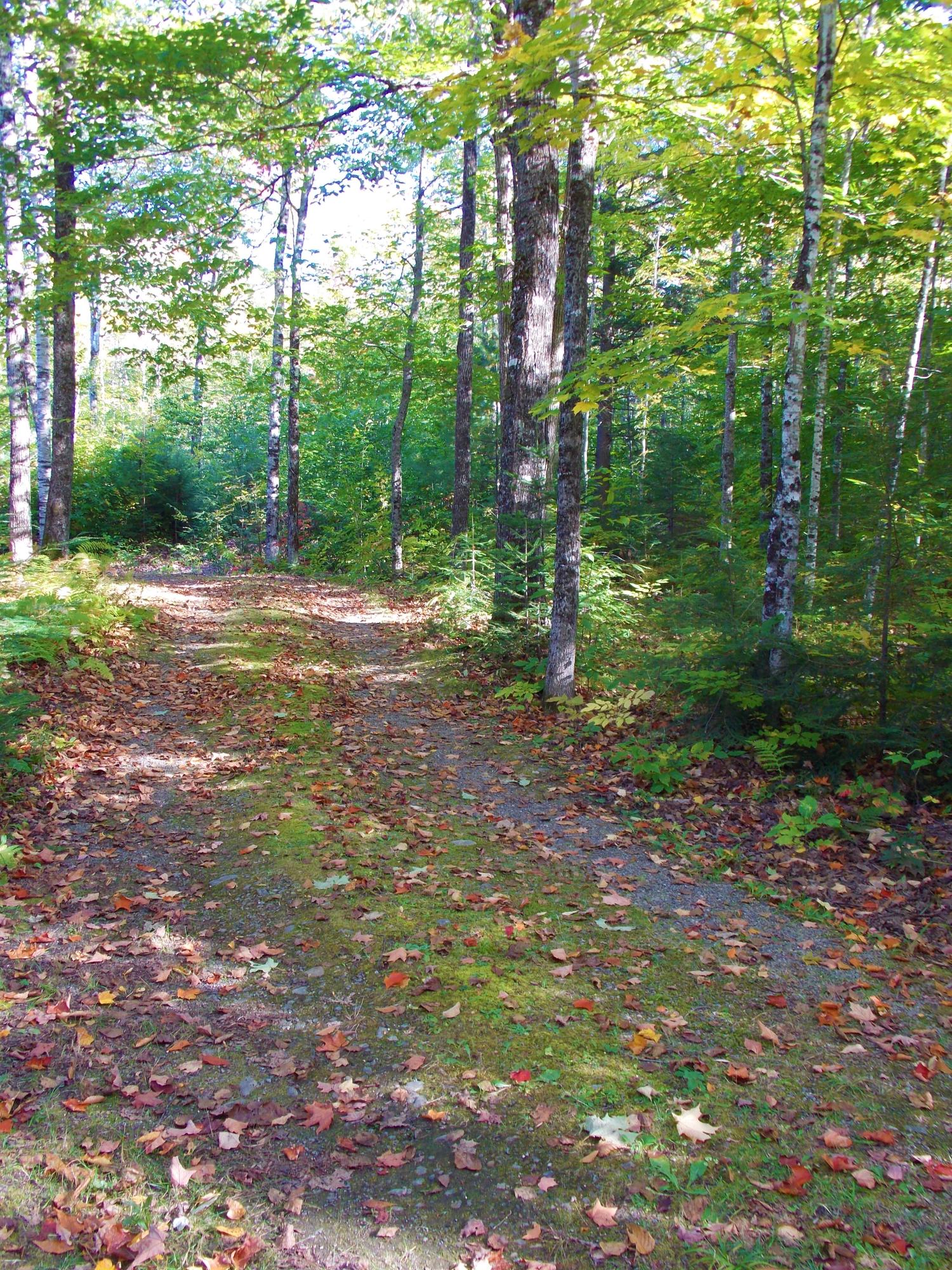 399 Number 10 Road Dexter, ME 04930 - Photo 36 of 64 DSCN3305