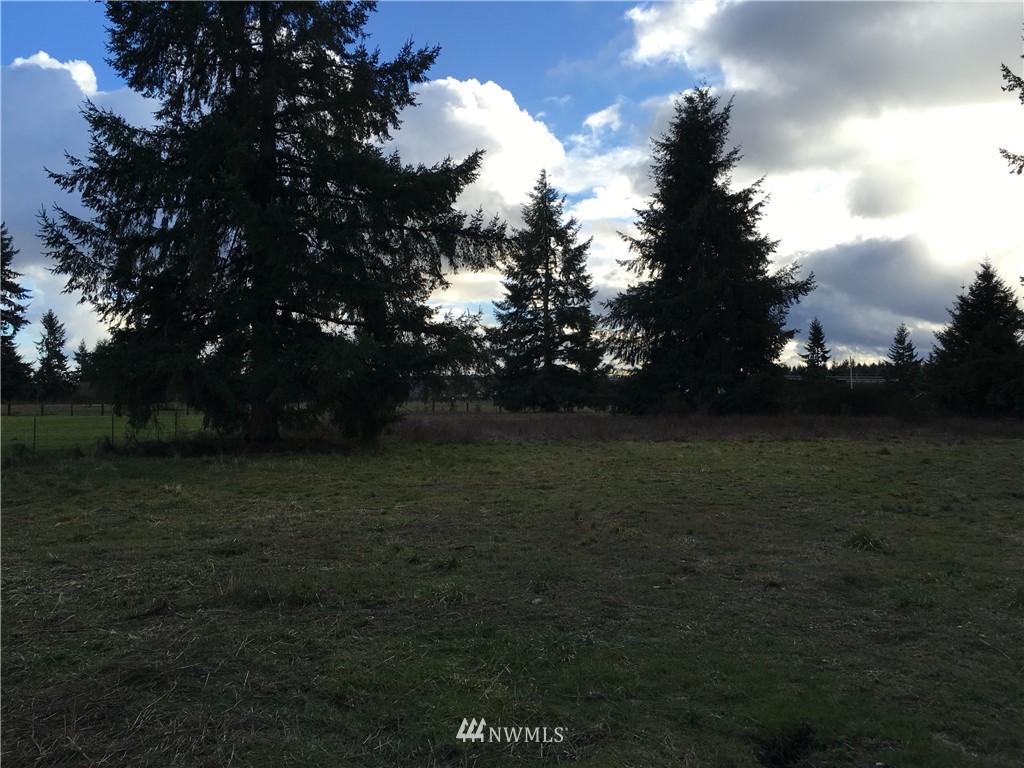 7539 195th Avenue Southwest Rochester, WA 98579 - Photo 25 of 25