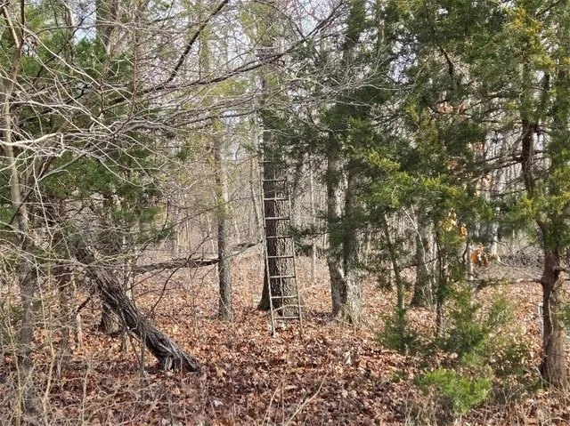 $1,640,000 | 30405 Oak Grove Road, Paola, KS 66071