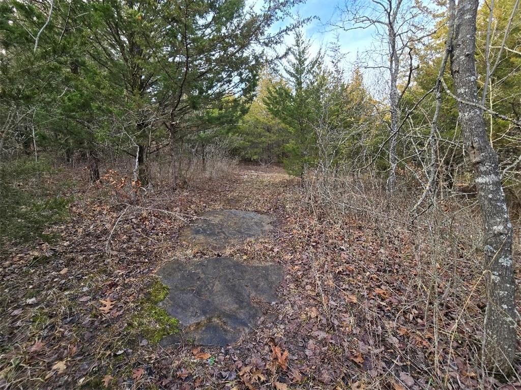 30405 Oak Grove Road Paola, KS 66071 - Photo 59 of 91