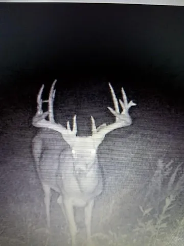 $1,640,000 | 30405 Oak Grove Road, Paola, KS 66071