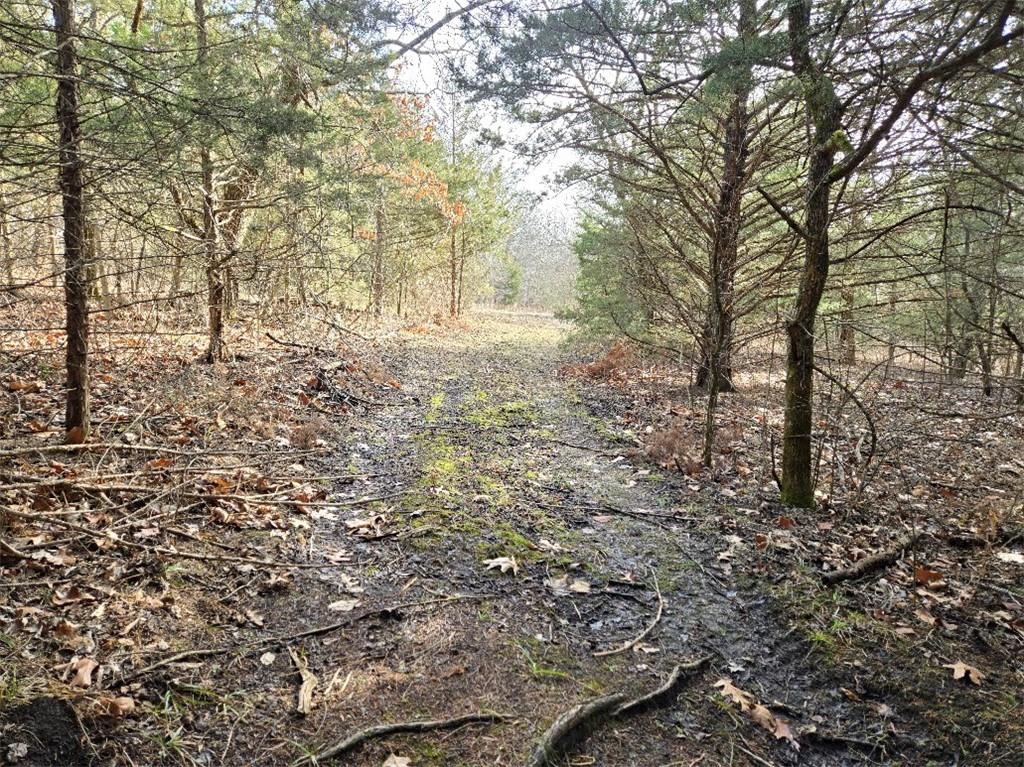 30405 Oak Grove Road Paola, KS 66071 - Photo 72 of 91