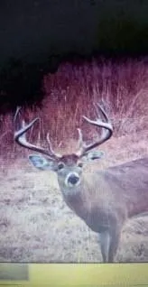 $1,640,000 | 30405 Oak Grove Road, Paola, KS 66071