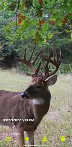 $1,640,000 | 30405 Oak Grove Road, Paola, KS 66071