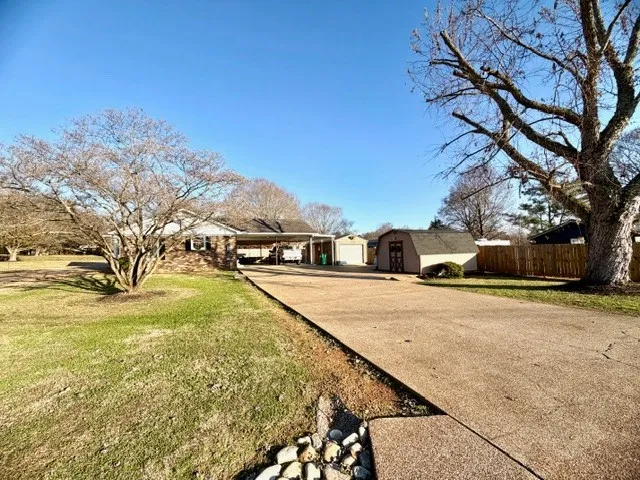 a street view with large trees